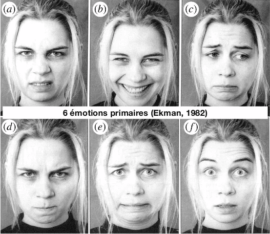 émotions ekman
